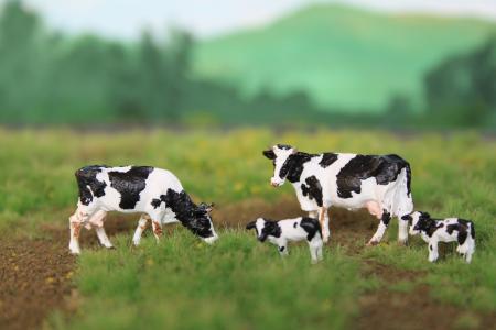 HVPS201 VPS Holstein Friesian Zwartbond 4 stuks